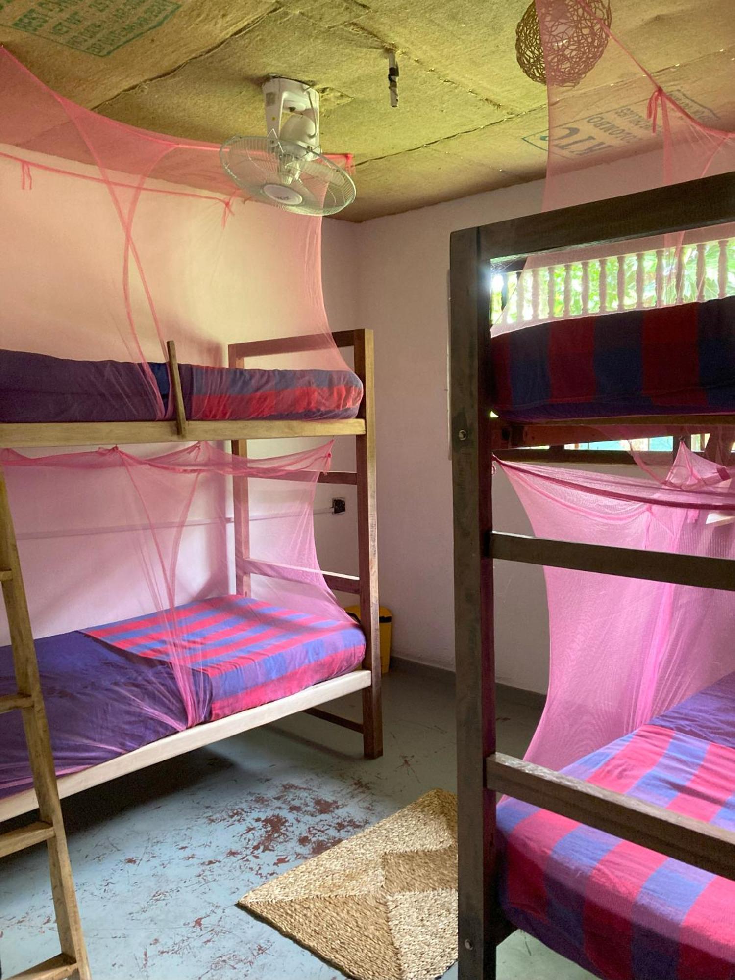 אונה ואטונה Hostel Singha Lounge מראה חיצוני תמונה